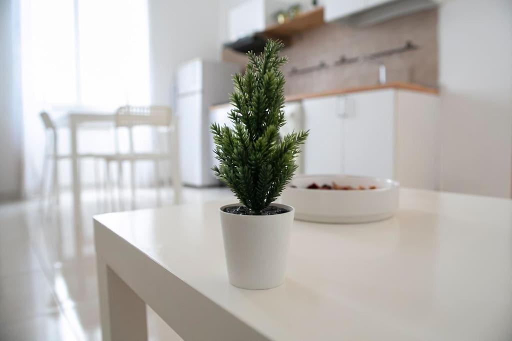 A Comfortable Apartment For You In San Lorenzo Roma Ngoại thất bức ảnh